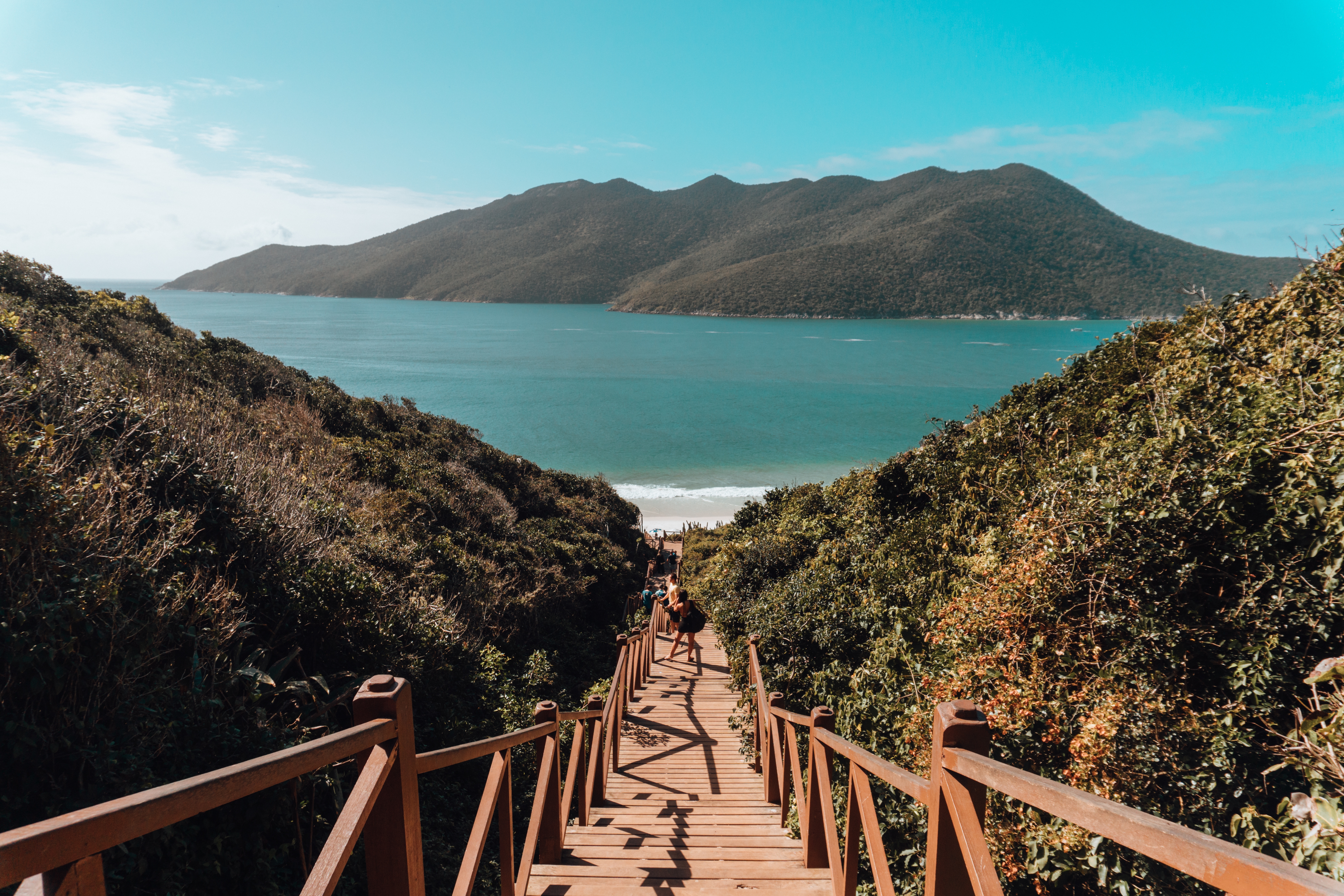 Photograph of wooden bridge leading to beach